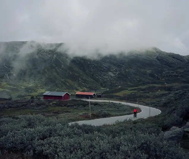 Röda hus vid en slingrande väg i dimma